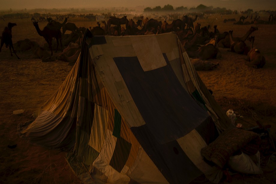 Nocne obozowisko (Pushkar Camel Fair)